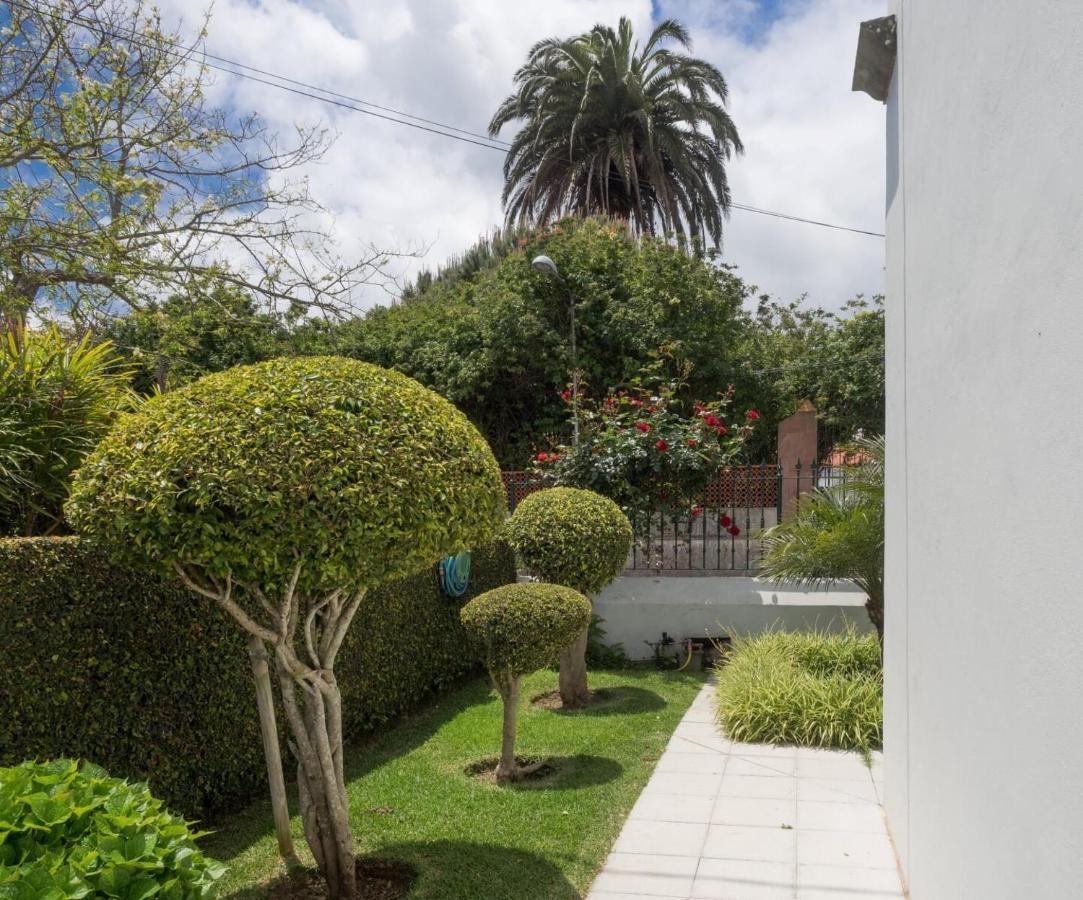 Donde Conchita, Cerca Del Aeropuerto Norte Apartment La Laguna  Exterior photo